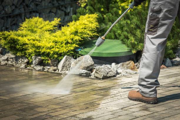 Best Animal Enclosure Cleaning  in Indiantown, FL