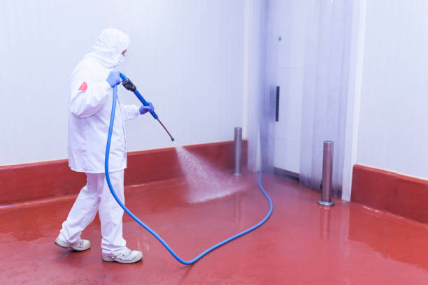 Best Dumpster Area Cleaning  in Indiantown, FL